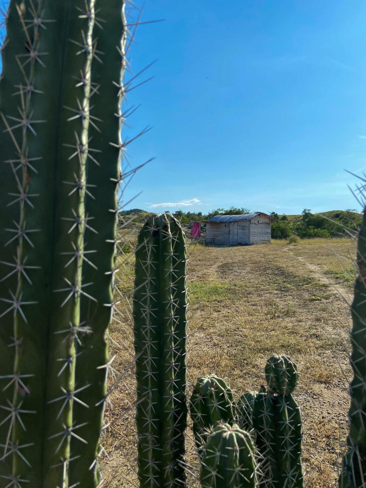 Qji Glamping biohotel Villavieja Bagian luar foto