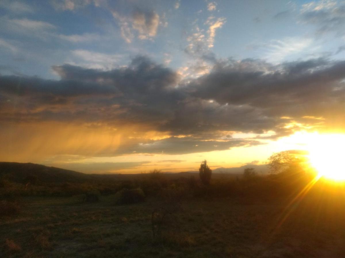 Qji Glamping biohotel Villavieja Bagian luar foto