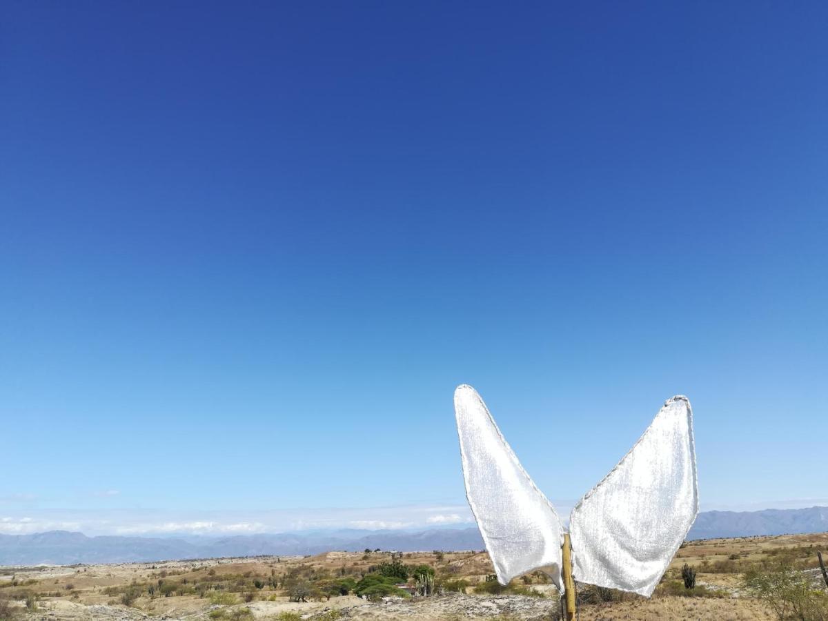 Qji Glamping biohotel Villavieja Bagian luar foto