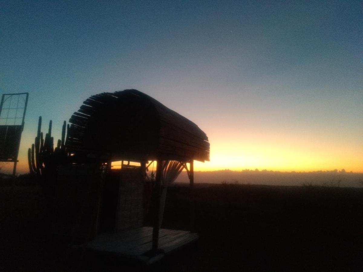 Qji Glamping biohotel Villavieja Bagian luar foto