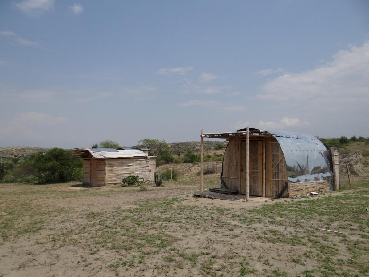 Qji Glamping biohotel Villavieja Bagian luar foto